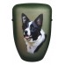 Hand Painted Biodegradable Cremation Ashes Funeral Urn / Casket - Border Collie Dog on Dark Green Matt